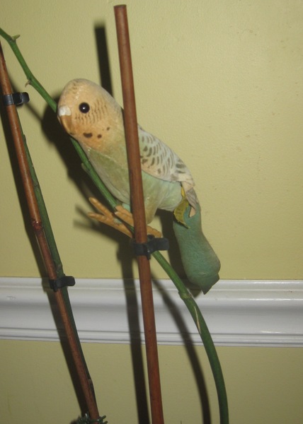 Steiff Green, Black, and Yellow Parakeet
