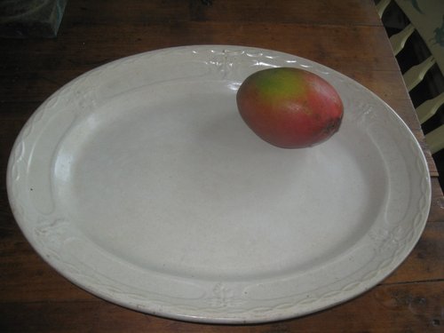 17. William Adams Ironstone Platter