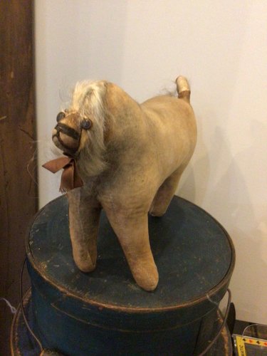 EARLY AMISH DOG
