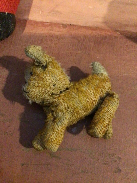 Small Folky dog