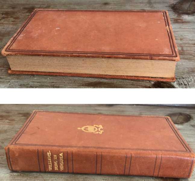 Williamsburg in Virginia Book