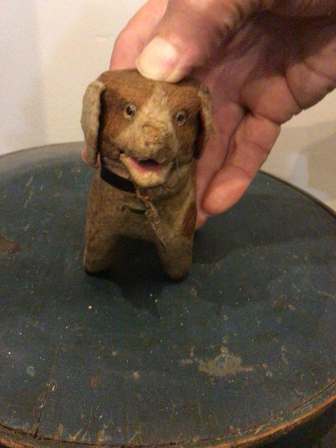 SWEET EARLY OPENING MOUTH CLOTH DOG