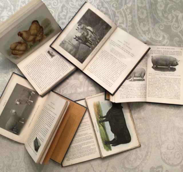 Children’s Biggle Farm Books