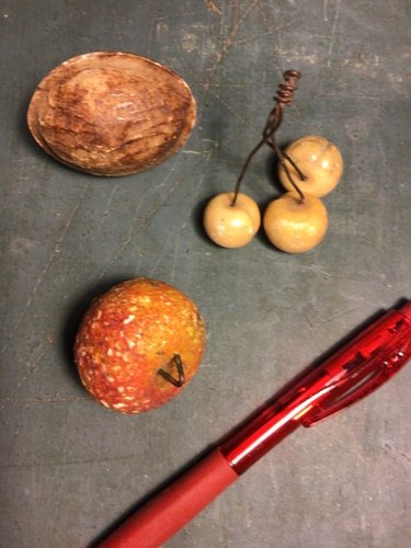 Three piece lot of rarer stone fruit