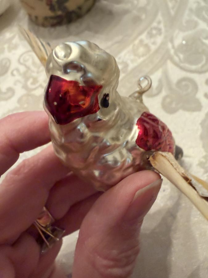 Rare German Glass and Dresden Parrot Christmas Orn