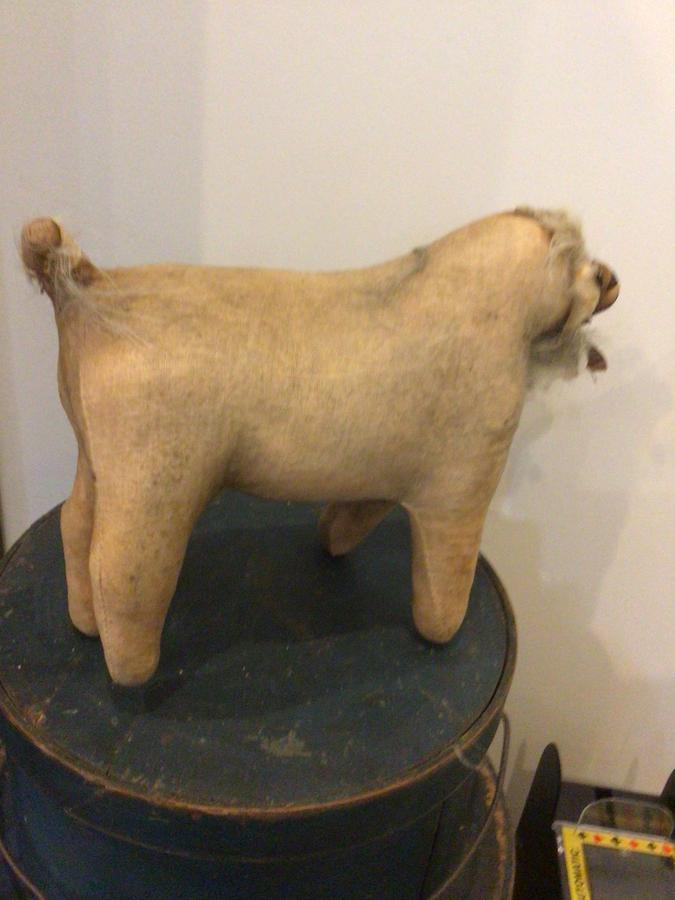 EARLY AMISH DOG