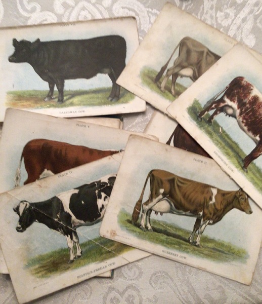 Children’s Biggle Farm Books