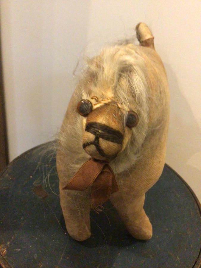 EARLY AMISH DOG