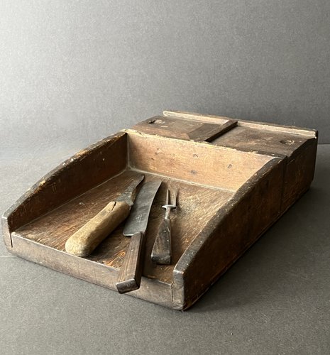 Unusual Example, American Scrub box