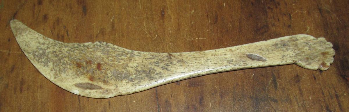 18TH/19TH C. WHALE BONE FISH SCALER/HIDE SCRAPER