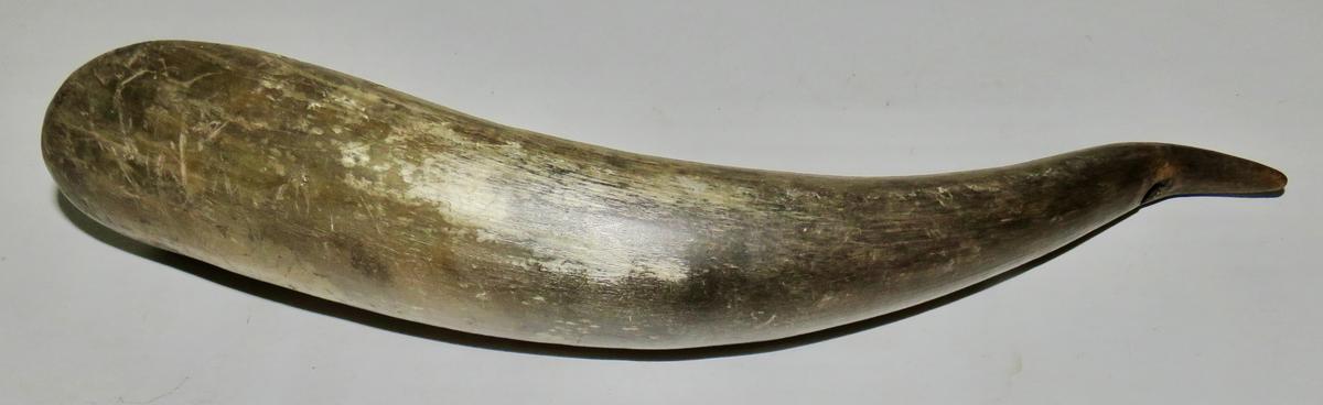 18TH CENTURY NATIVE AMERICA HORN CANOE CUP