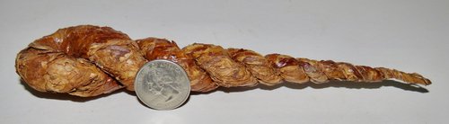 RARE VA TOBACCO TWIST