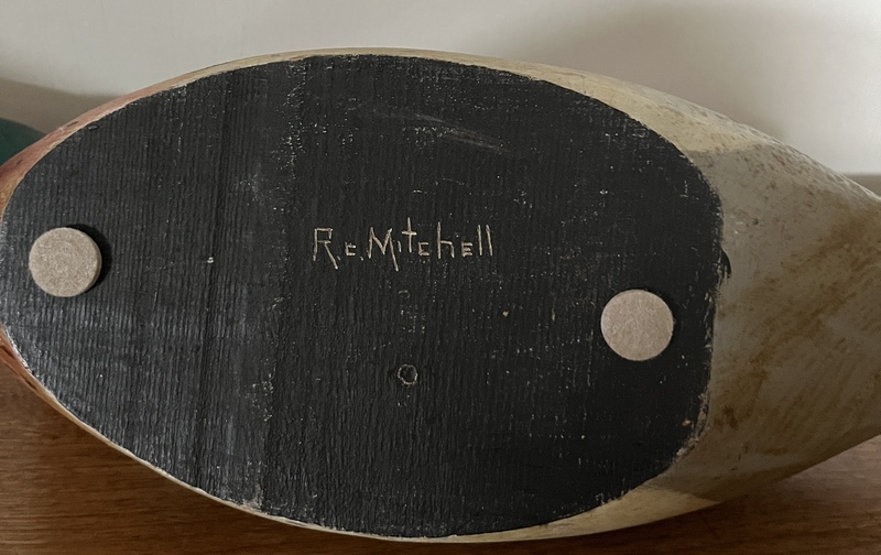 Merganser by R. Mitchell