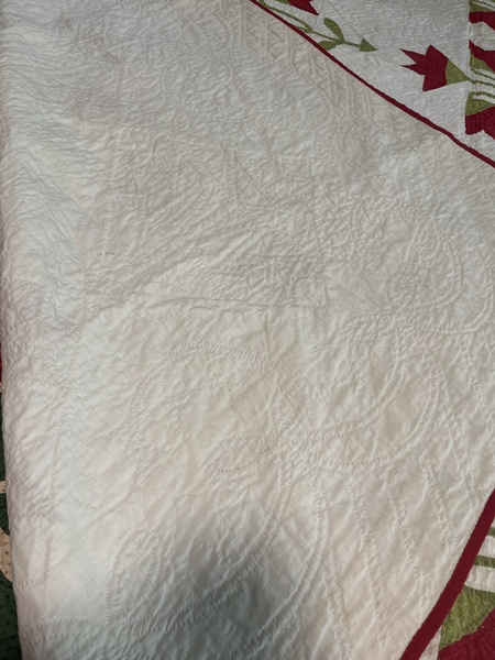 Carolina Lilly Quilt
