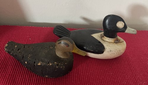 Miniature Ducks