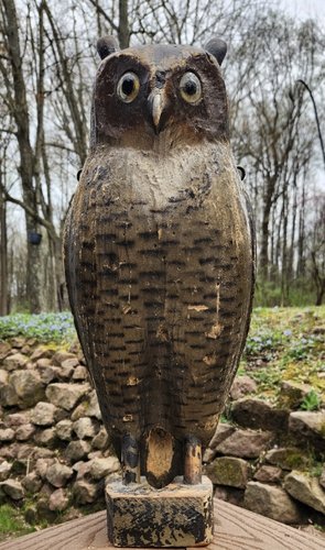 Herters Owl