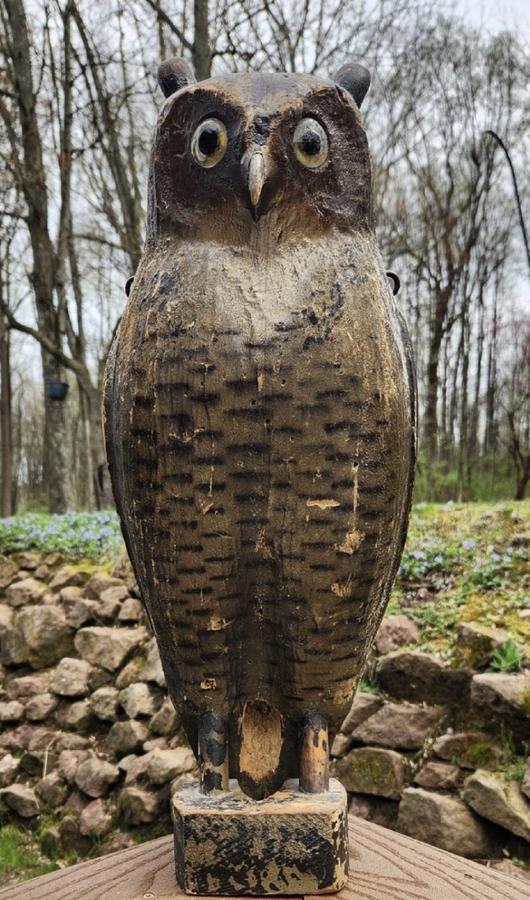 Herters Owl