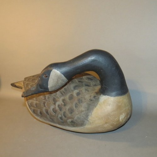 Canadian Goose