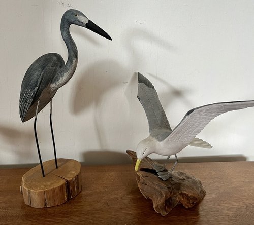 Blue Heron and Sea Gull