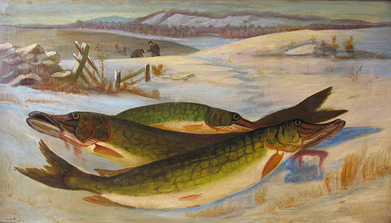 Pickerel Fish on Ice