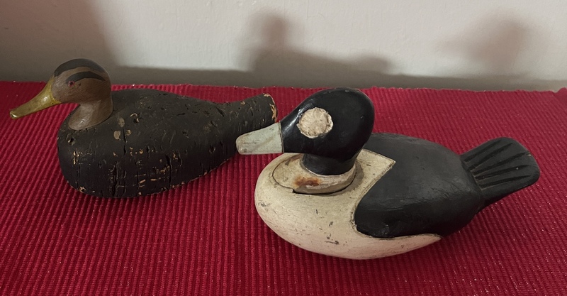 Miniature Ducks