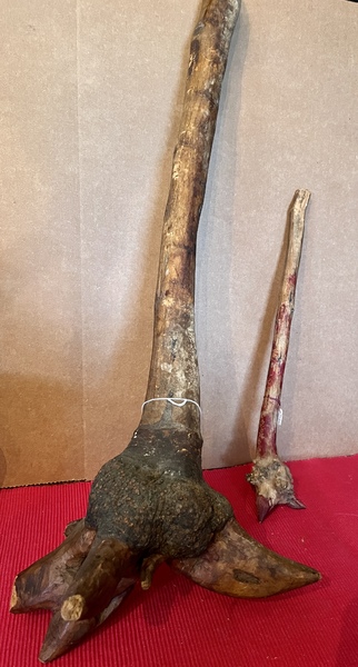 Indian Ceremonial Clubs