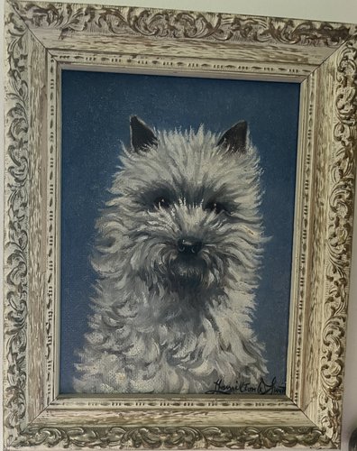 Westie Portrait