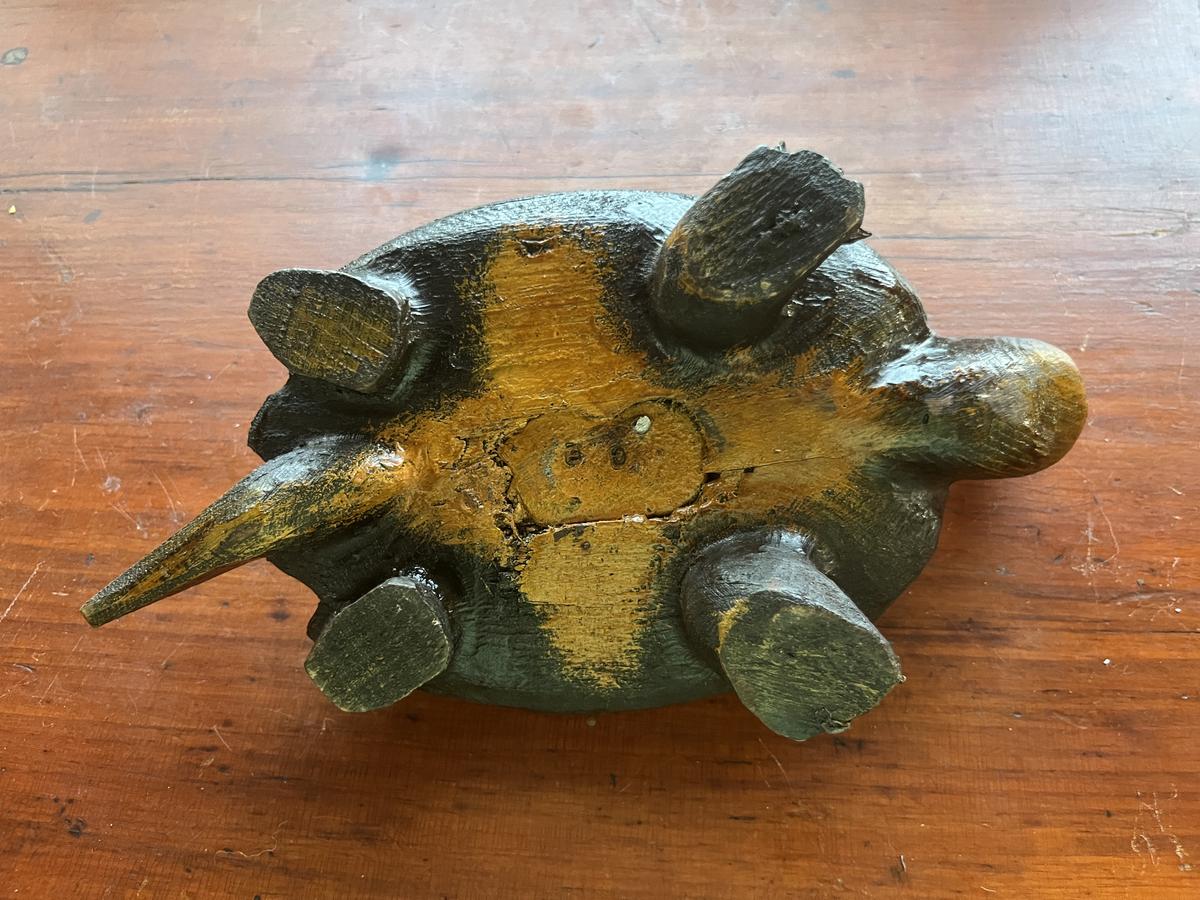 Snapping Turtle
