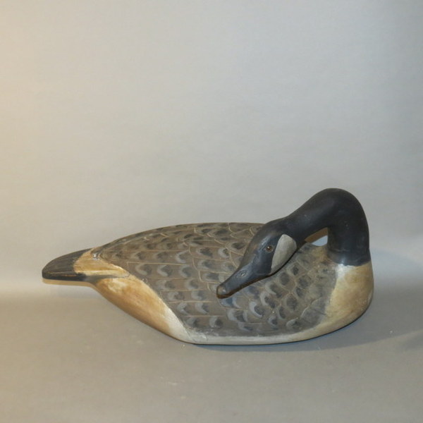 Canadian Goose