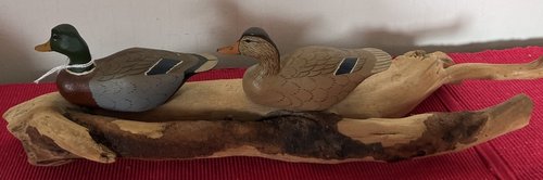 Miniature Mallards on Driftwood