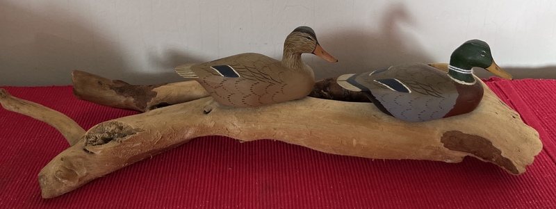 Miniature Mallards on Driftwood