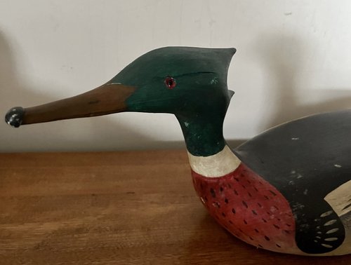 Merganser by R. Mitchell