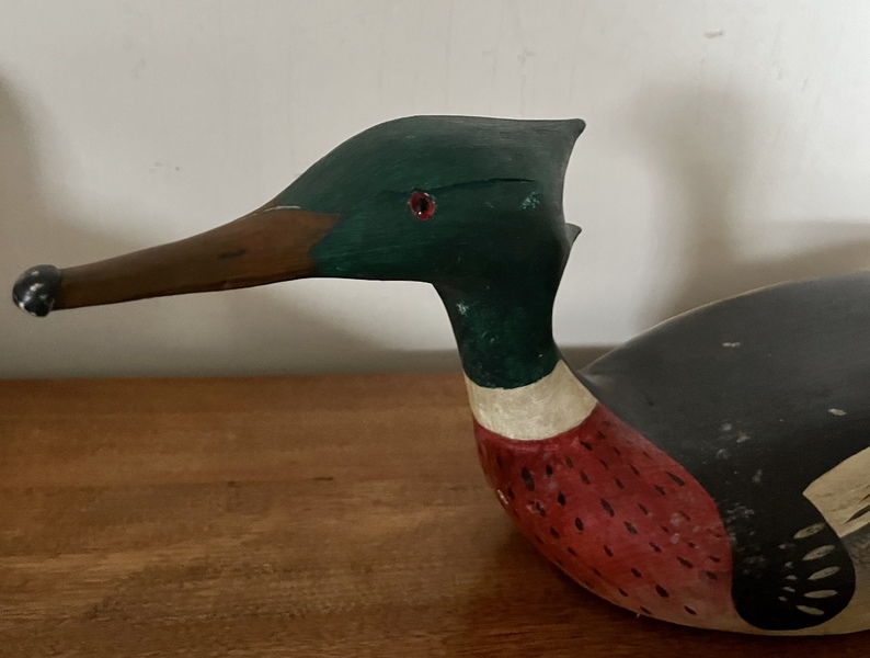 Merganser by R. Mitchell