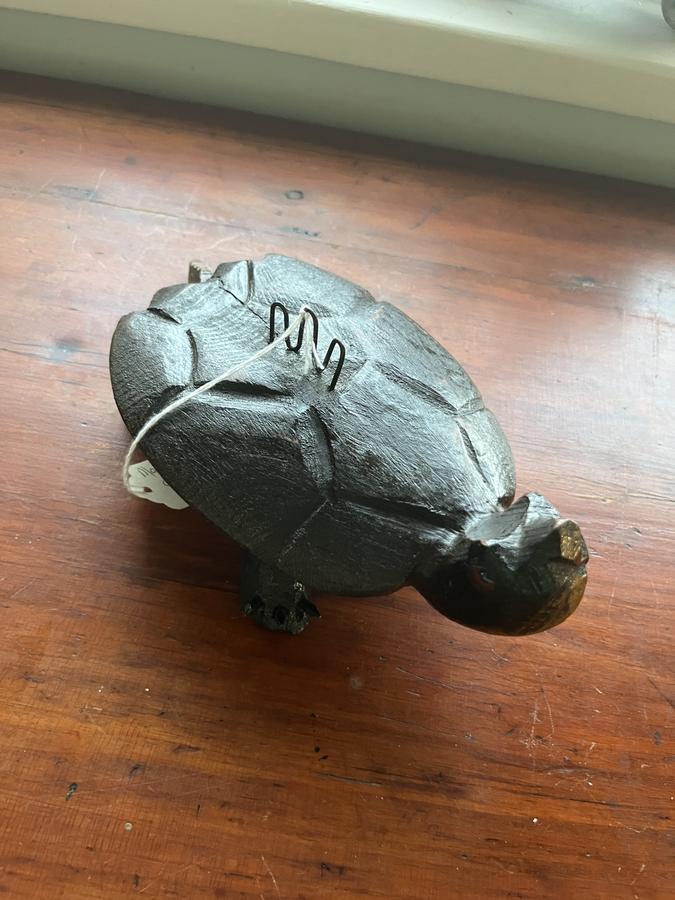 Snapping Turtle