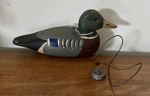 Mallard Baby