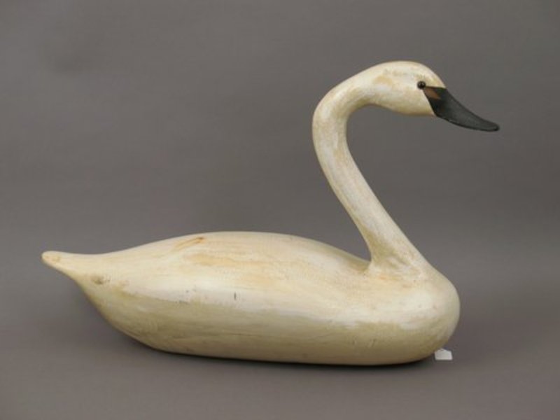 Swan Wildfowler Carved Decoy
