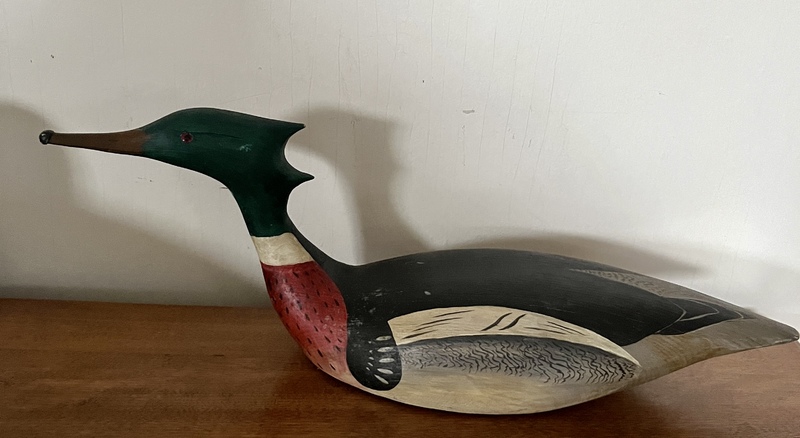 Merganser by R. Mitchell