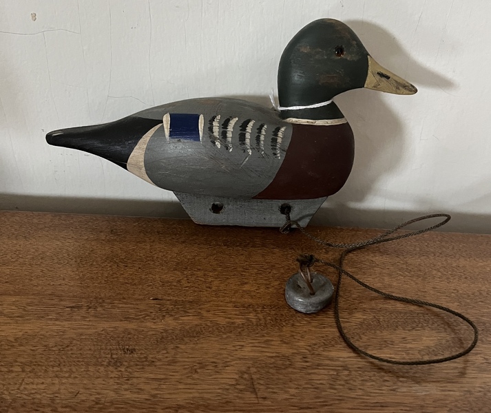Mallard Baby