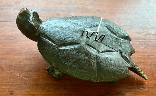 Snapping Turtle