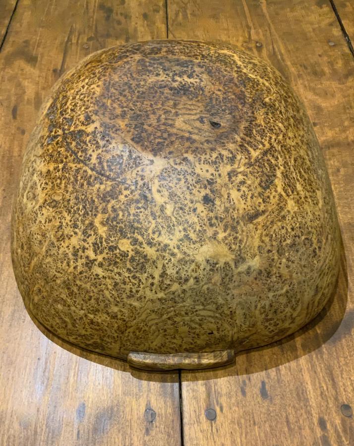 Large Burl Bowl with Lug Handles