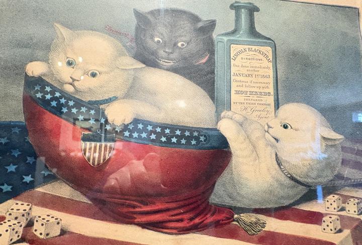 The Great Remedy - Civil War Interest