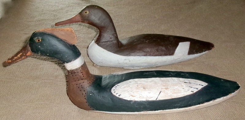 Pair of Early Mergansers