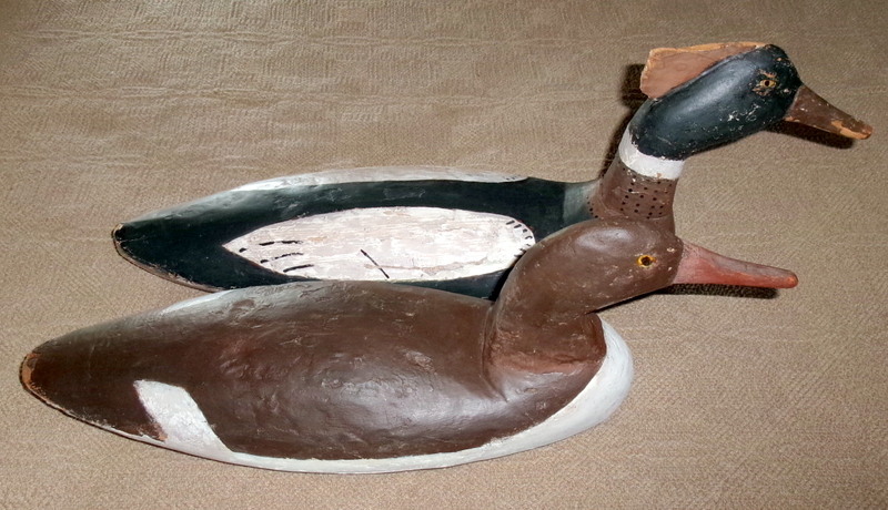 Pair of Early Mergansers