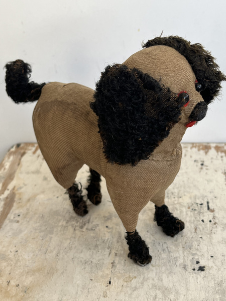 Amish Dog