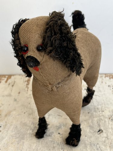 Amish Dog
