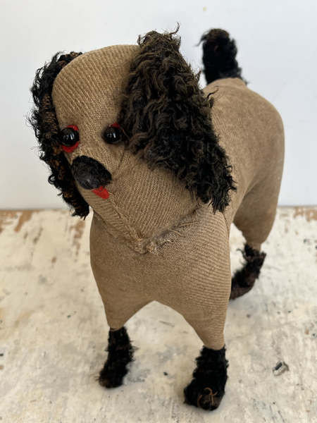 Amish Dog