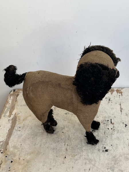Amish Dog