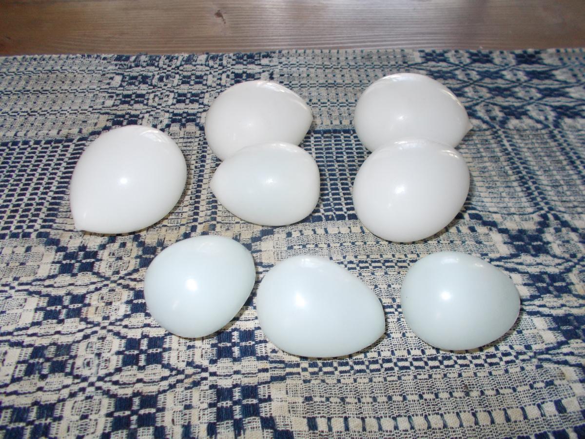8 GLASS STARTER EGGS