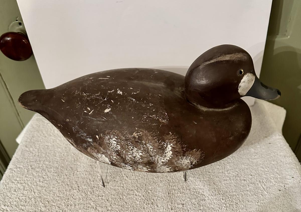 4. Golden Eye Duck Decoy