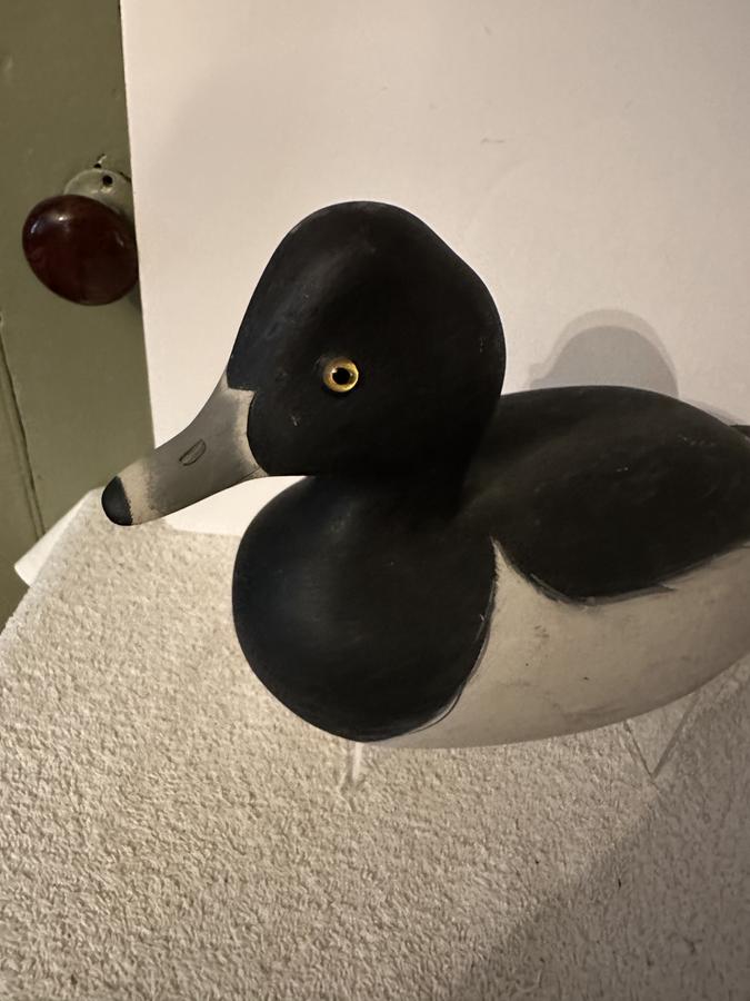 2. Bufflehead/Ring Neck Duck Decoy